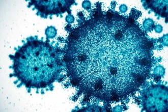 AI designed 300 viruses. Only 16 of them worked
