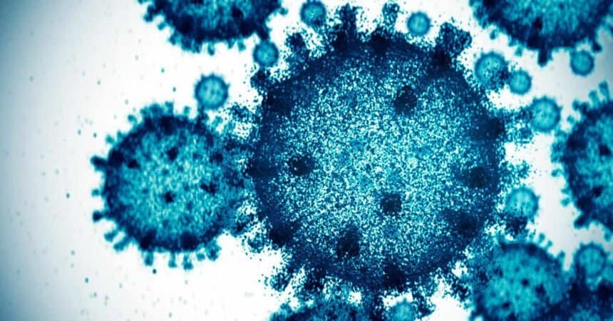 AI designed 300 viruses. Only 16 of them worked