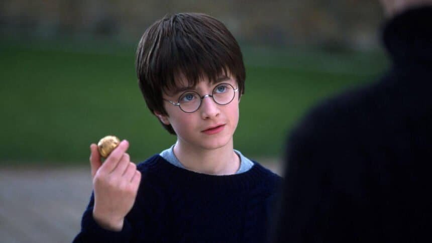 Defenders of Hogwarts — Harry Potter Fans Are Getting A New Game In October 2026