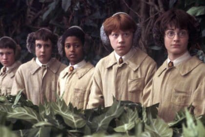 HBO's New Harry Potter Season 2 Actor Played The Exact Same Role Just One Year Ago