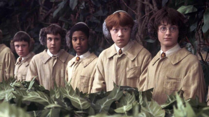 HBO's New Harry Potter Season 2 Actor Played The Exact Same Role Just One Year Ago