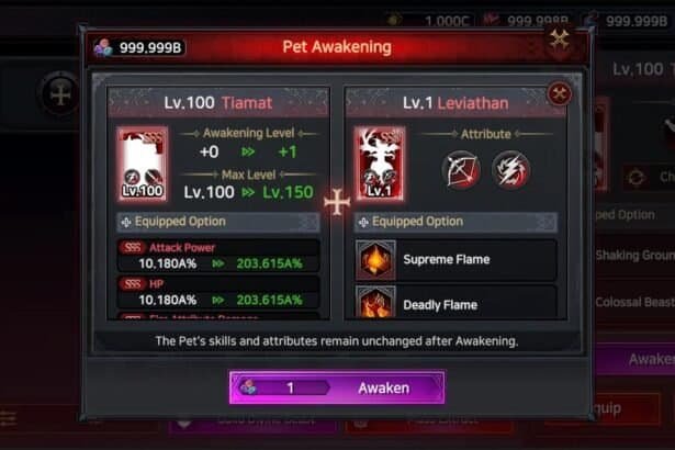 Immortal Rising 2 turns on Pet Awakening, pushing the pet level cap to 400