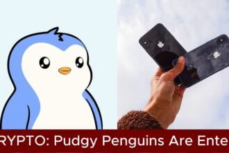 SOLYD wants six Pudgy Penguins for its first iPhone case run