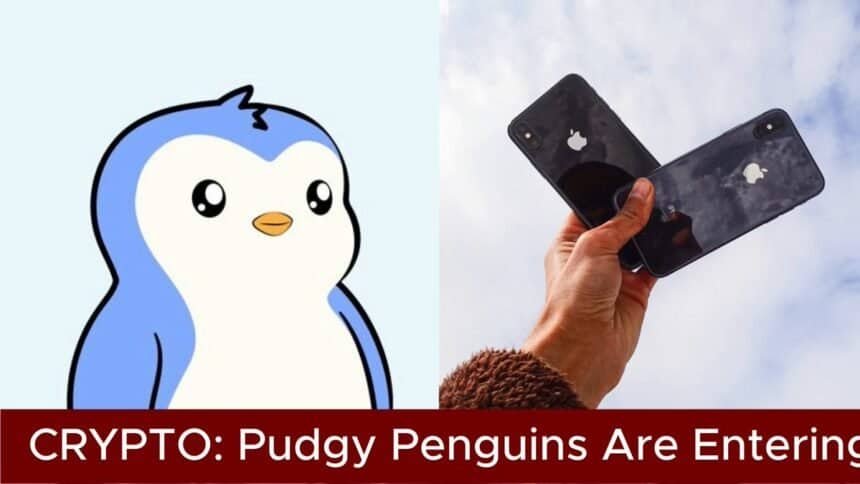 SOLYD wants six Pudgy Penguins for its first iPhone case run
