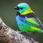 Scientists scanned 15,000 bird skeletons and found evolution doesn't work the way you'd think