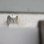 September Fed hike odds tumble after July jobs miss