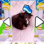 Steal an Egg Vanished From Roblox Right After Hitting No. 1