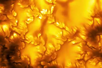 Tiny plasma whirlpools cover the sun and nobody had seen them until now
