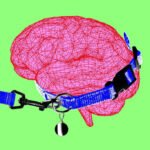 Anthropic — Dario Amodei says the AI industry needs to slow down