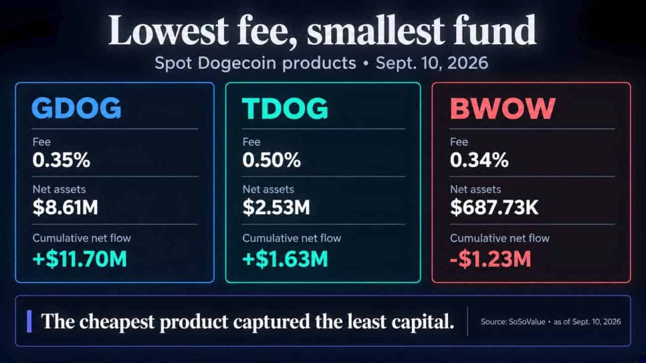 Comparison of GDOG, TDOG and BWOW fees, net assets and cumulative net flows as of Sept. 10, 2026, showing BWOW had the lowest fee but the smallest fund.
