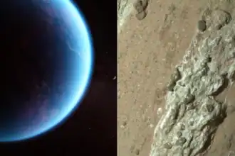 Have we found alien life? We asked hundreds of scientists
