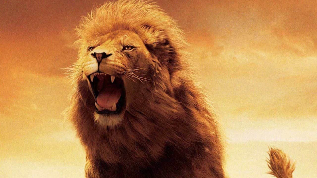 Aslan roaring in The Chronicles of Narnia: The Lion, the Witch and the Wardrobe (2005)