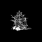 Pirata Capital