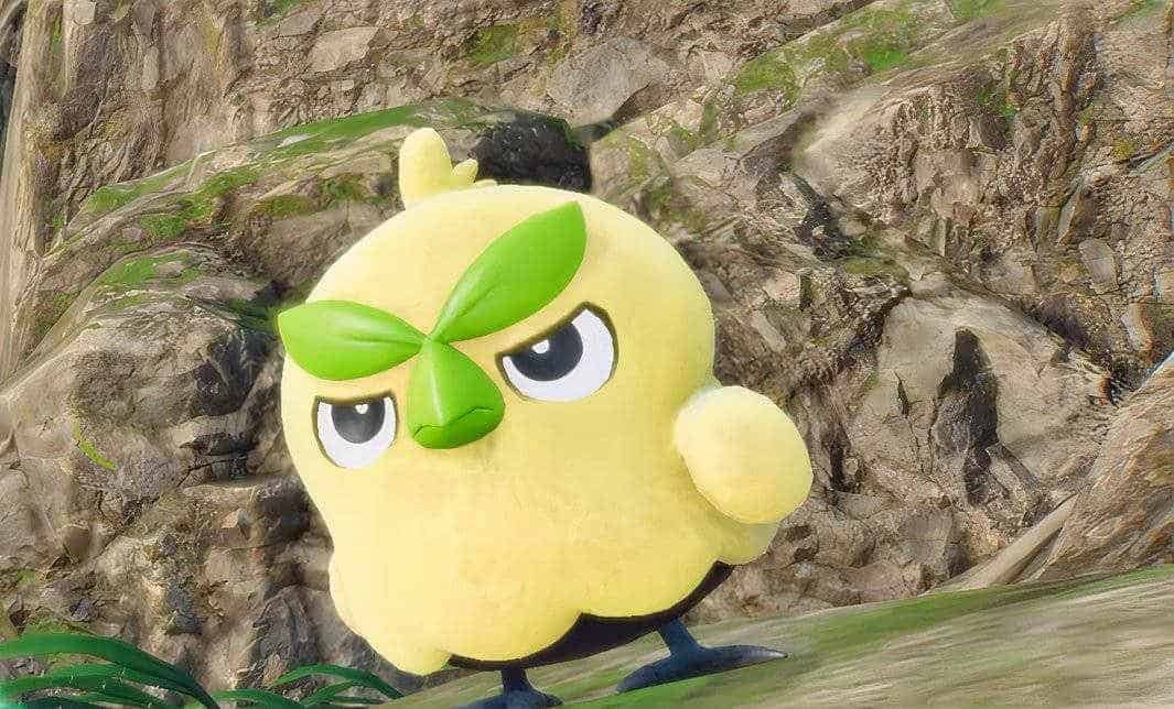 'Pokémon Winds and Waves' Leak Shows Off New Pokémon After a Crushing No-Show A grass bird Pokemon