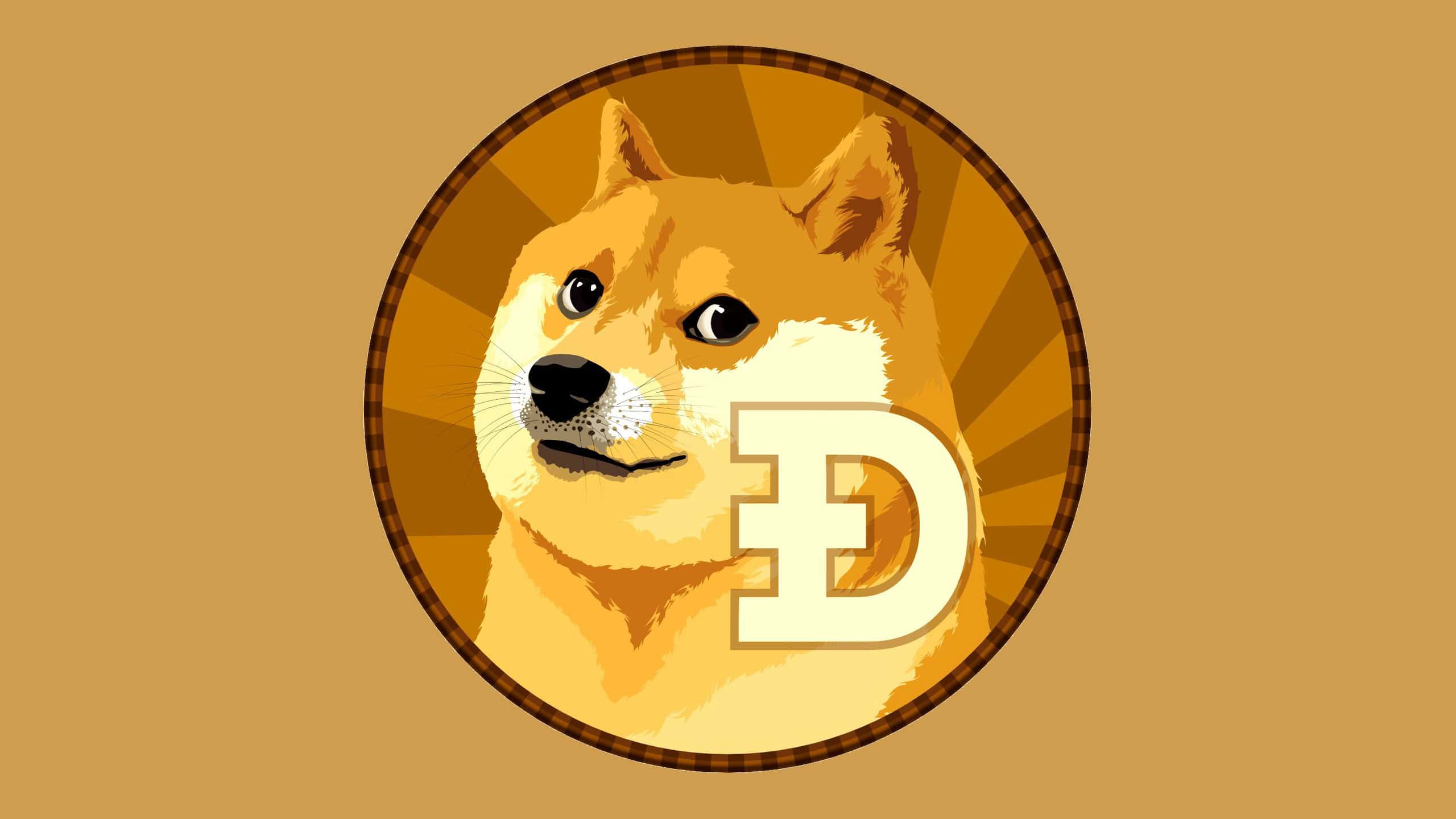 DogeOS opens public testnet for EVM apps and games on Dogecoin