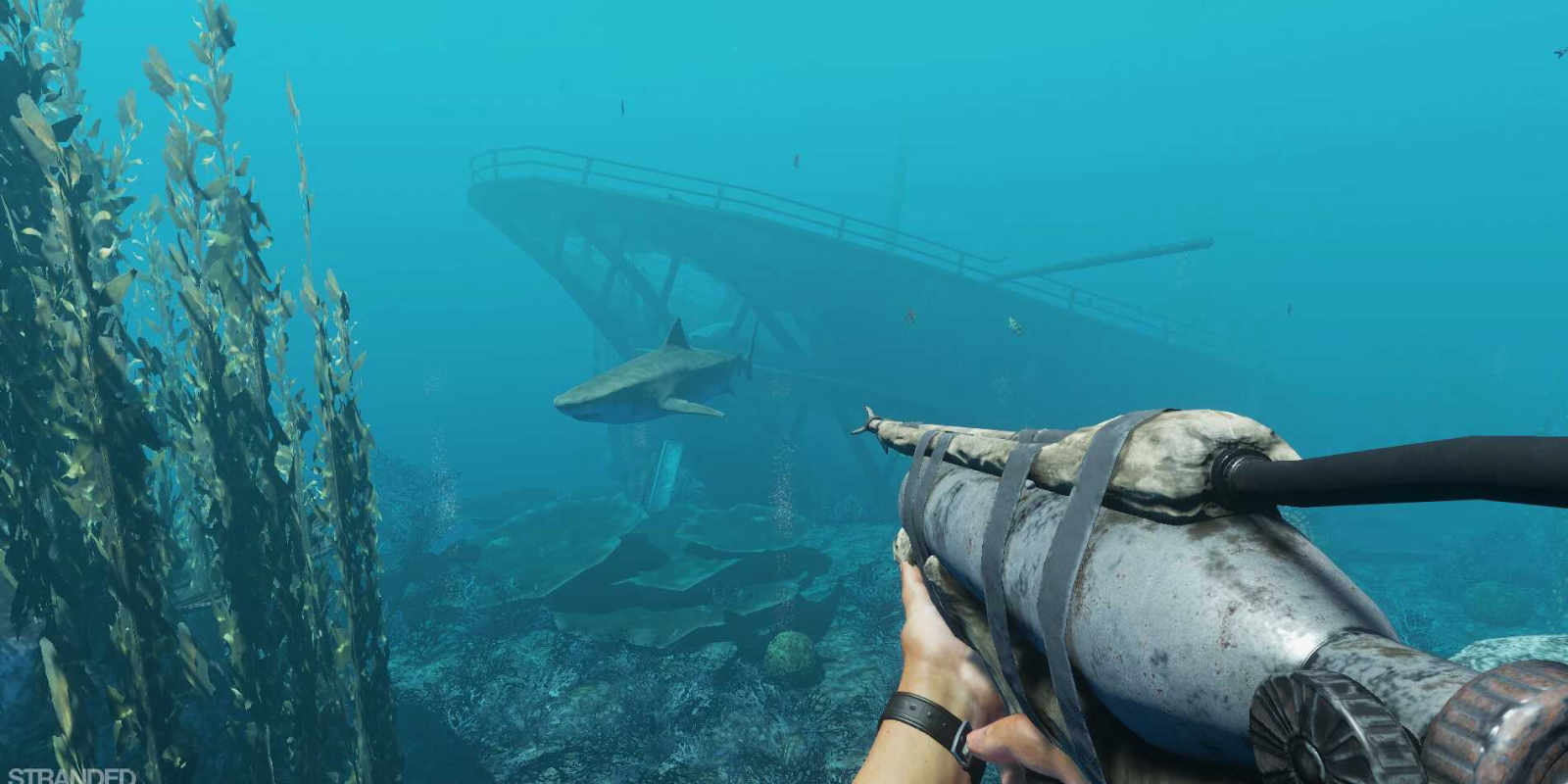 Stranded Deep Tiger Shark